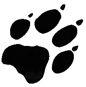 wolf paw right