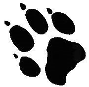 wolf paw left